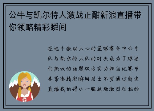 公牛与凯尔特人激战正酣新浪直播带你领略精彩瞬间